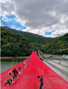 高空魔网